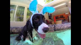 Easter Egg Hunt 2015 by TampaBayVets 39 views 9 years ago 1 minute, 18 seconds