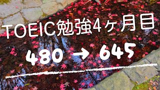 【在宅社会人の勉強ルーティーン】英語学習4ヶ月目、TOEIC645点！【Study Vlog】
