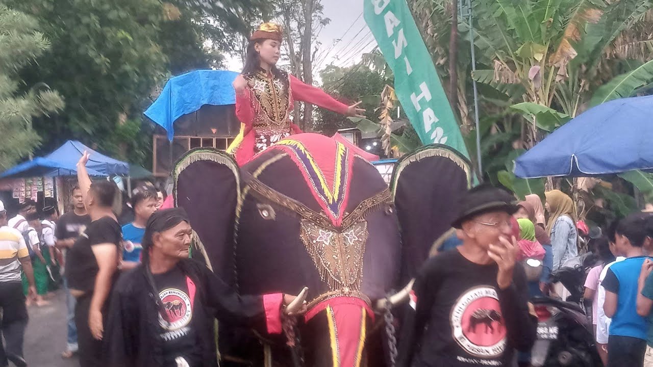 GAJAHAN UNIK PONOROGO ADA YANG MODEL DANGDUTAN #gajahponorogo 