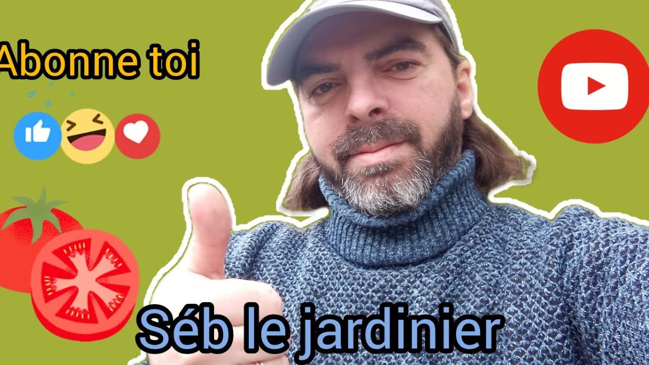 Les tout premiers semis de la saison 🥬🍅🫜