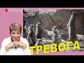 Тревожность и что с ней делать. Методы.