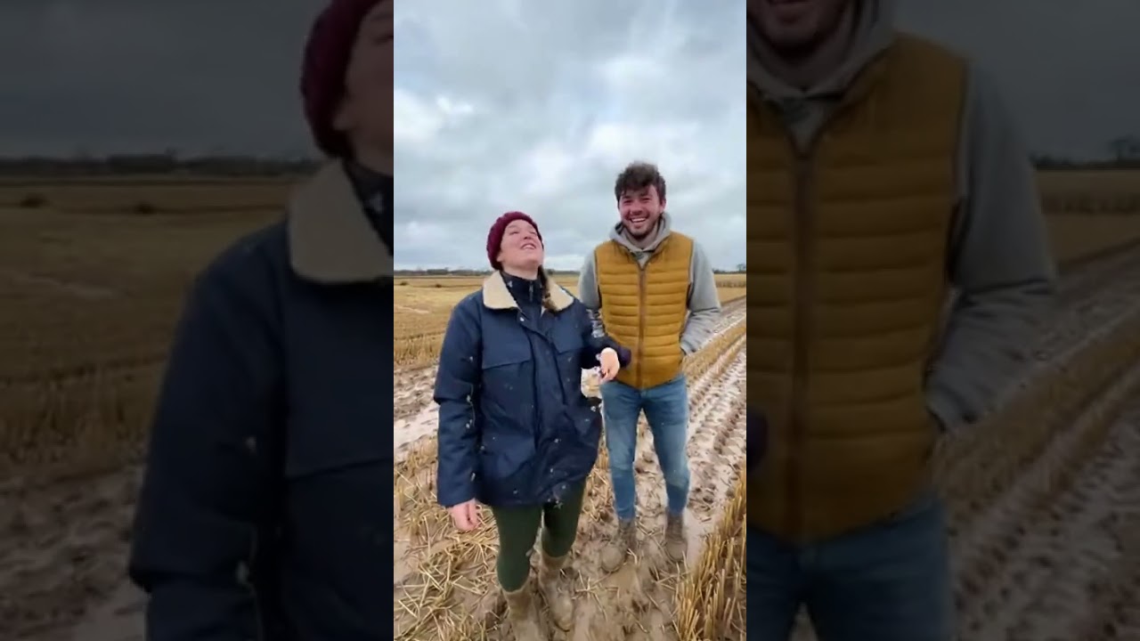 seeds become crops? 😍 Combine harvester wheels splash through light mud as it cuts 