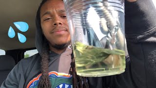 Box Water Taste Test + PH Balance 💧