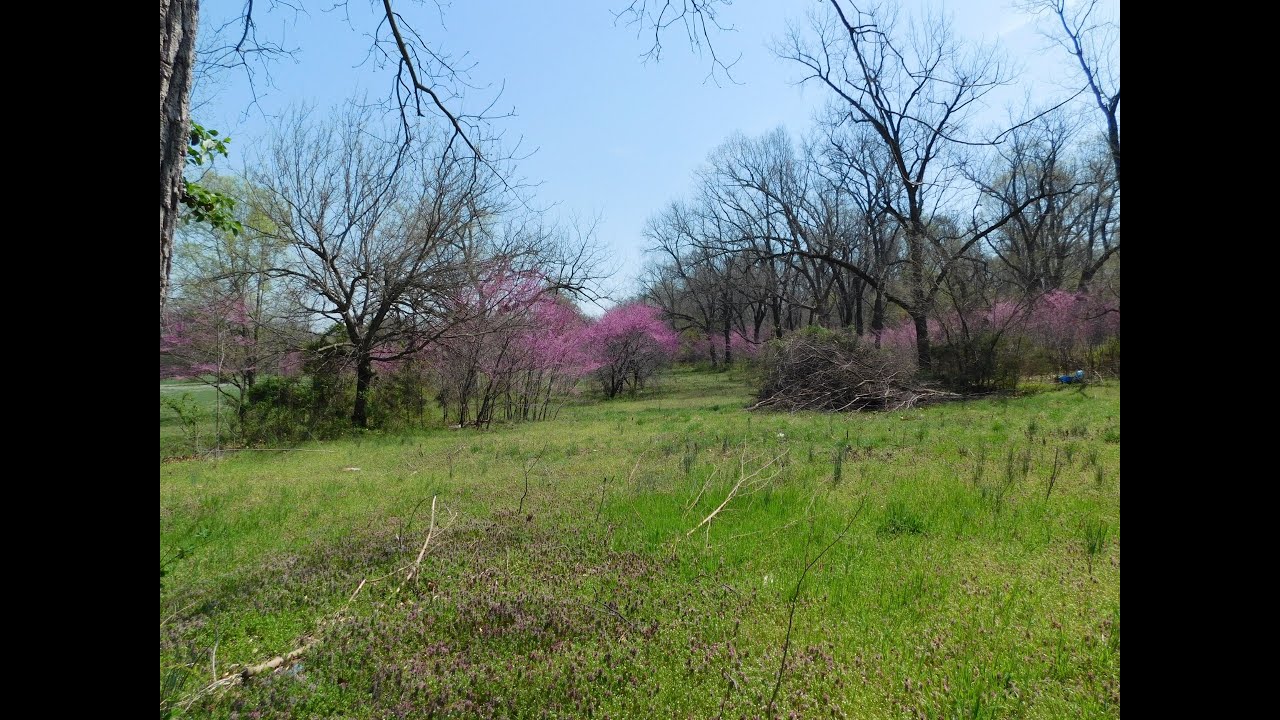 1127 N Pine Street Carterville, MO Homes for Sale