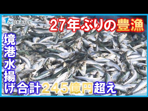 【“27年ぶり”の豊漁！】2023年に境港で水揚げされた水産物　合計価格245億円超える　主力のまき網が好調　鳥取県境港市