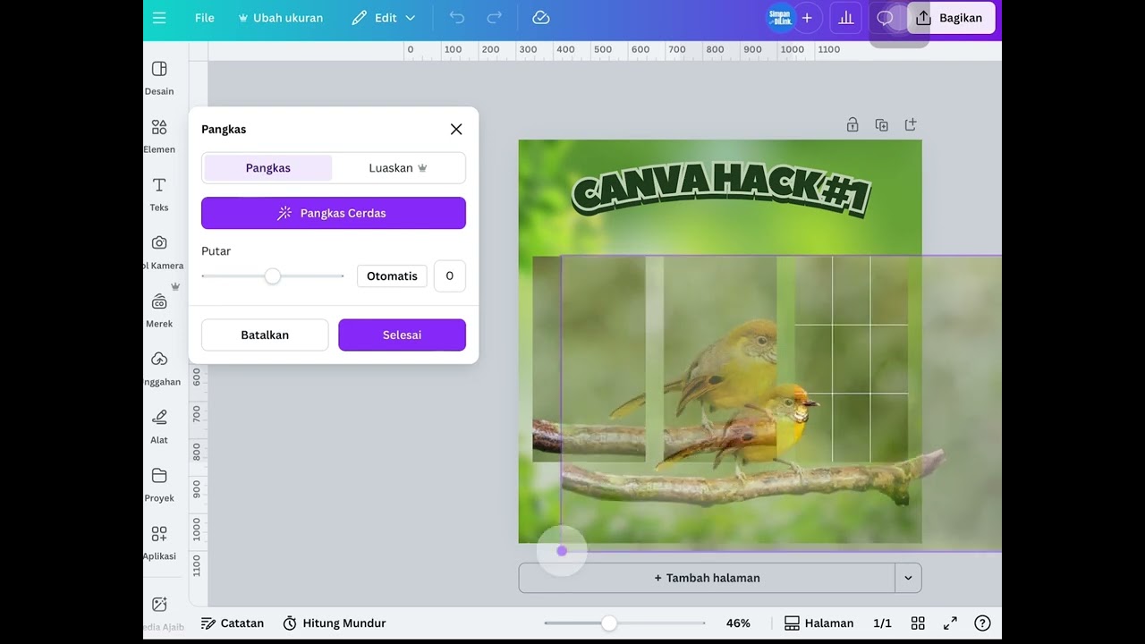 How to Add Image to Frame in Canva | Canva Hack #1
