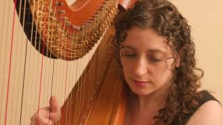 Brumms Accordion From Hollow Knight Harp Cover