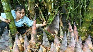 Harvesting early season bamboo shoots, giant oysters in the river take it to the market sell.