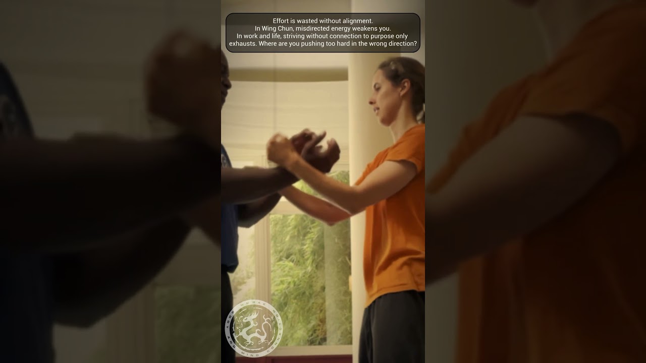 Wing Chun Den Haag 👉 wudae.com 👉 Body & Mind Connection 💥 Gratis proefles 💥 Free Trial class