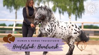 Preview Human & Horse Methode Thuisstudie Handwerk