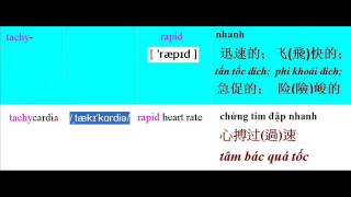 Tachy-, Tachycardia, Rapid Breathing, Tachypnea, Rapid Heart Rate