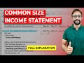 Common Size Income Statement - Basics, Formula, How to Prepare?