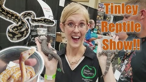 NARBC Tinley Reptile Expo- October 2017!
