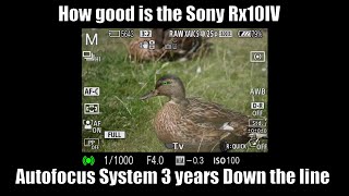Sony Rx10iv Autofocus System -  3 years old and still Amazing