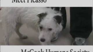 McCook Humane Society