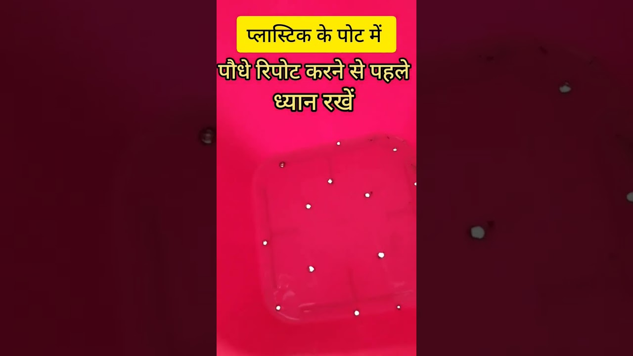 Important work before using Plastic  Container for plants