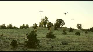 Köpeği̇n Drone İle İmti̇hani 2019 İngöl