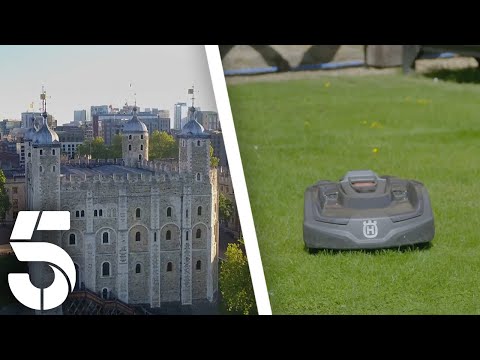 Video The Robot Helpers That Mow The Grass At The Tower Of... - youtube