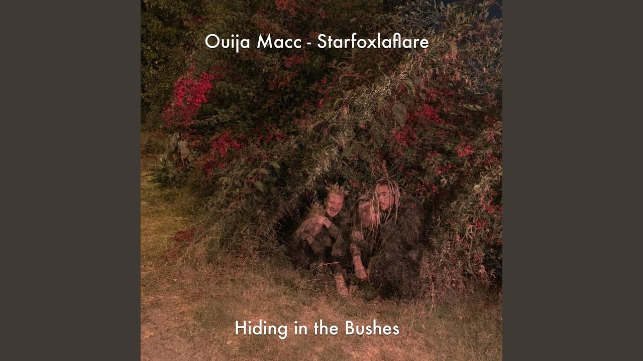 Hiding In The Bushes Ouija Macc