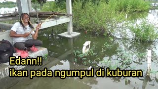 Banjir!! Gara gara banjir Kuburan jadi sarangnya ikan