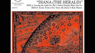 Blank Dogs - Leaving the light on