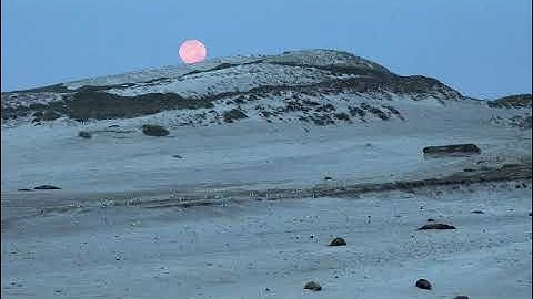 سورة الملك بصوت القارئ عبد الكريم الديوان