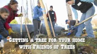 How To Plant With Friends Of Trees
