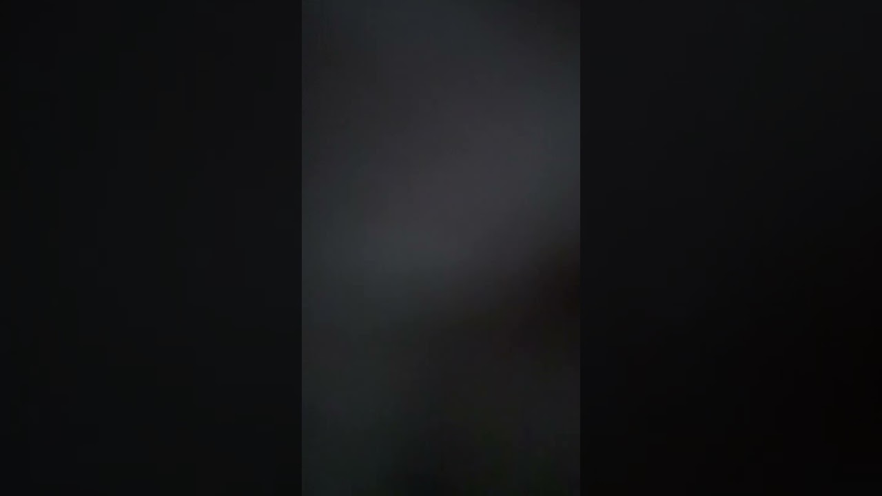 花粉症は完全体で迎え撃つ