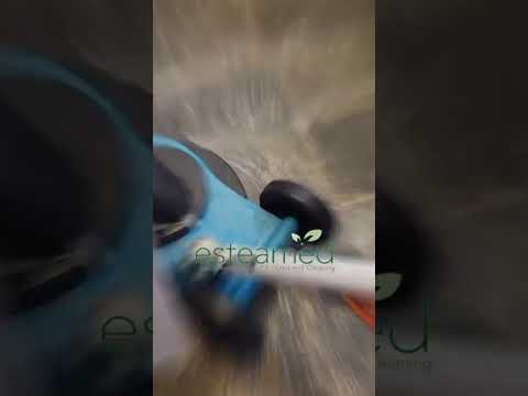 End of Tenancy Case Study — Martin & Co — Esteamed carpet & upholstery cleaning video