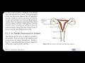 Class10th How do Organisms Reproduce? part 5
