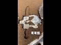 Cast the silver! #OriginalVideo #ArtisansOnDouyin