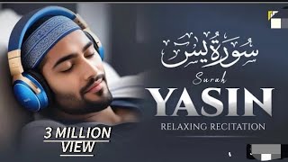 surah Yaseen | Al Quran | peace full recital