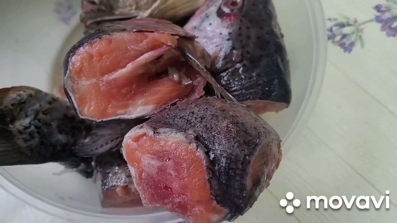 Алматы, чистим.Уха с форелью, дома.