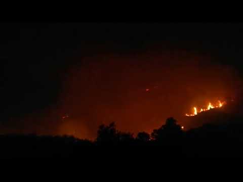 EviaZoom.gr: Τρεις εστίες φωτιάς στο Δήμο Κύμης - Αλιβερίου