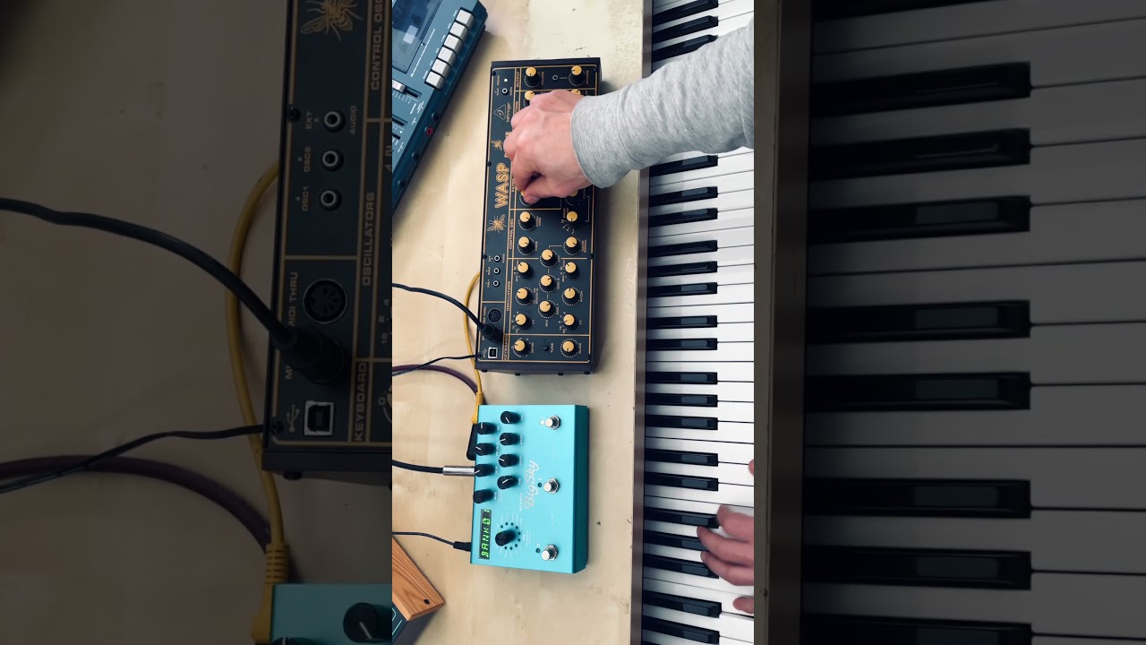 How does the Behringer Wasp sound? 🐝🎹