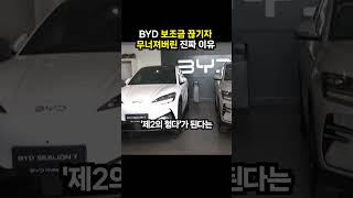 BYD 보조금 끊기자 무너져버린 진짜 이유 (이슈딸깍)