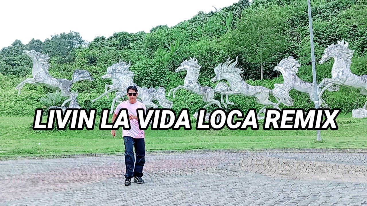 LIVIN LA VIDA LOCA REMIX - 