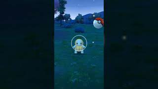 When I Caught Shiny Squirtle from Special Research 🤩✨ #shorts #pokemongo #youtubeshorts