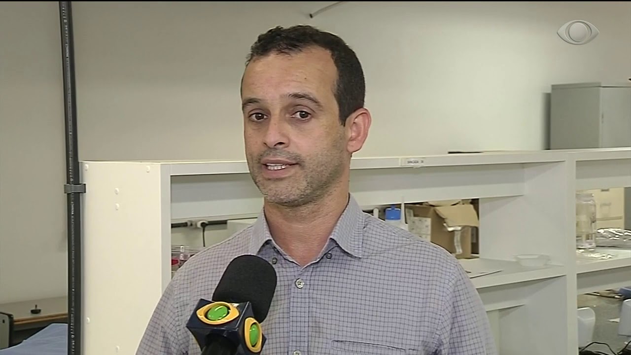 Variação brasileira do Zika circula em Angola cafe com jornal acabou