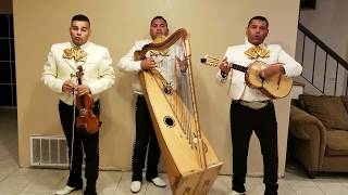Video thumbnail of "Gavino Barrera "Mariachi Trio Generacion De Sacramento""