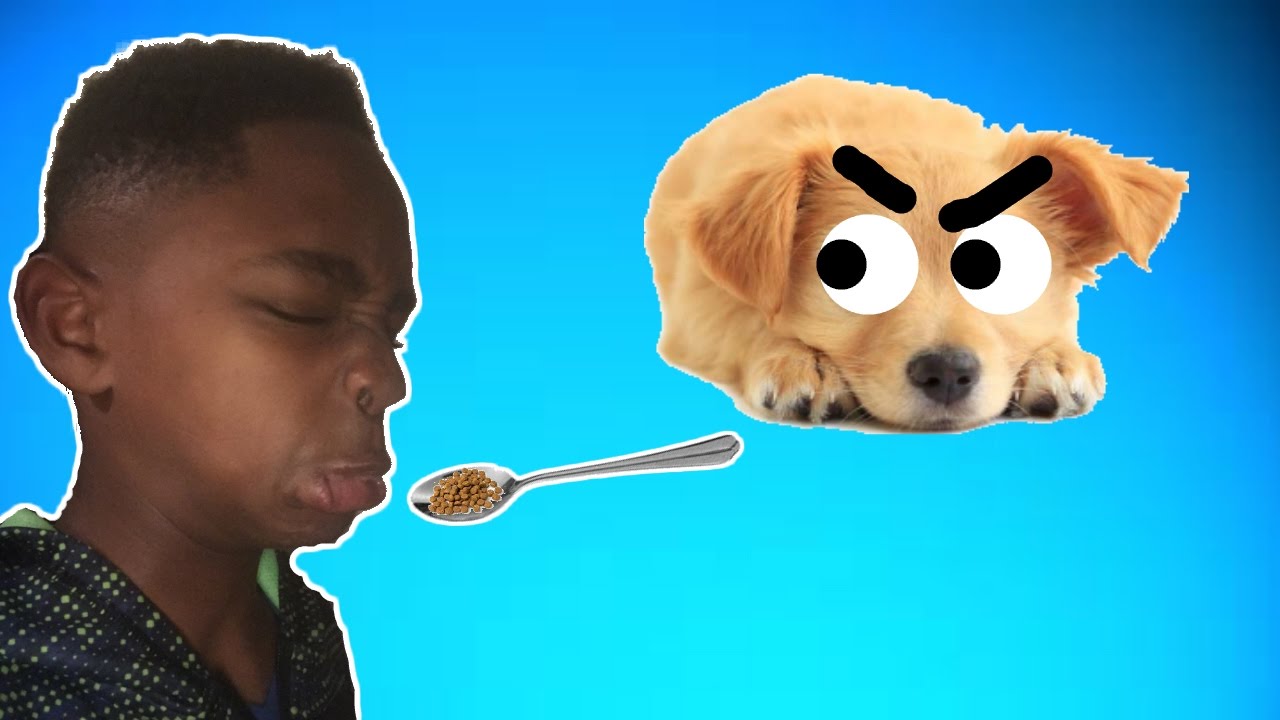 Eating DOG FOOD every time I die YouTube