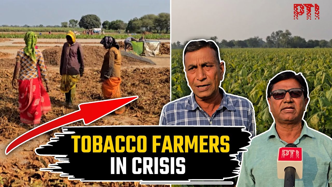 forms of tobacco use History and types of tobacco use.pptx