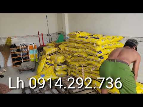 Video Cám cá chình đạm cao cho lươn bột | 0914.292.736 - youtube