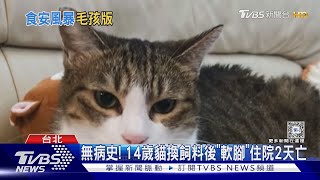 貓糧食安危機? 4貓換飼料釀「1死2低血鉀」TVBS新聞 @TVBSNEWS01