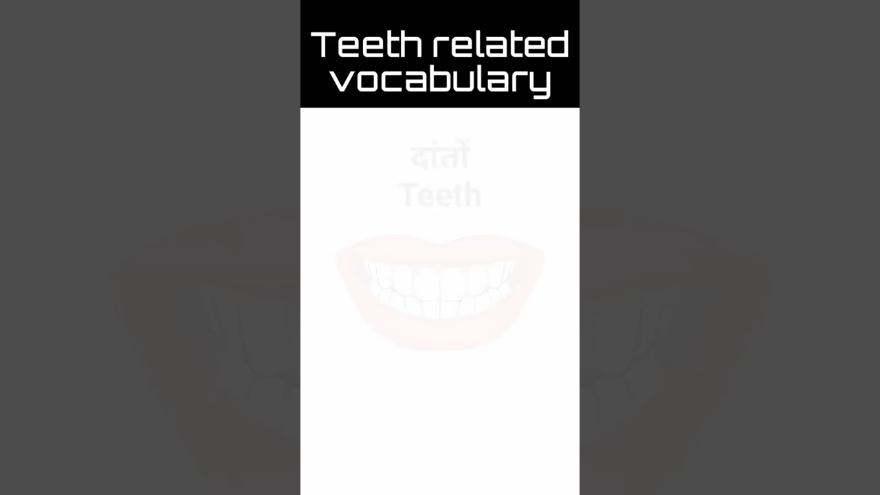 Teeth related vocabulary Hindi to English। Learn by DK। 