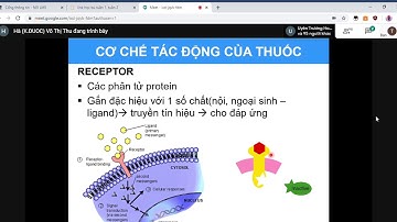 NTTU - DƯỢC LÍ 1 - B1. Dược lí đại cương - GV: Võ Thị Thu Hà