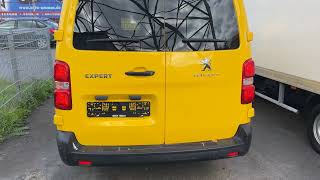 Kurier-/Lieferwagen - Peugeot Expert Box Pro L3 / 2.0 Blue HDI (2019)
