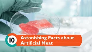 10 Artificial Meat Facts