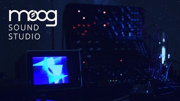 Moog-Only Modular Patch ft. Moog Sound Studio + The Astronomer
