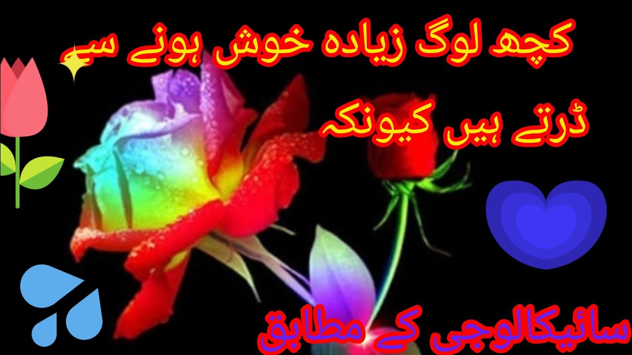 life changing quotes|motivational quotes|Urdu quotes||Muhammad yahya 790/